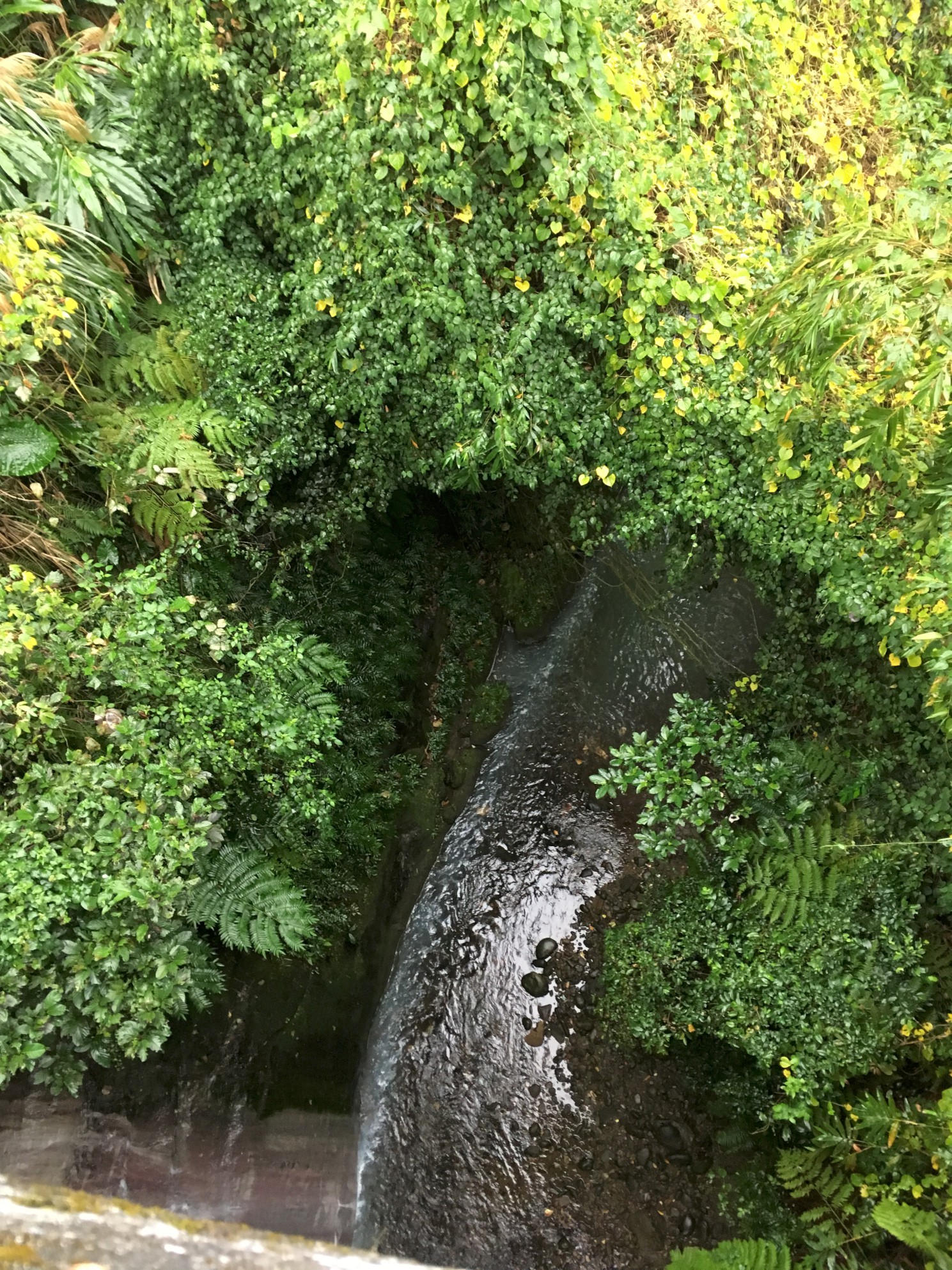 強鹼廢水直接排入三峽河上游支流三峽溪情形
