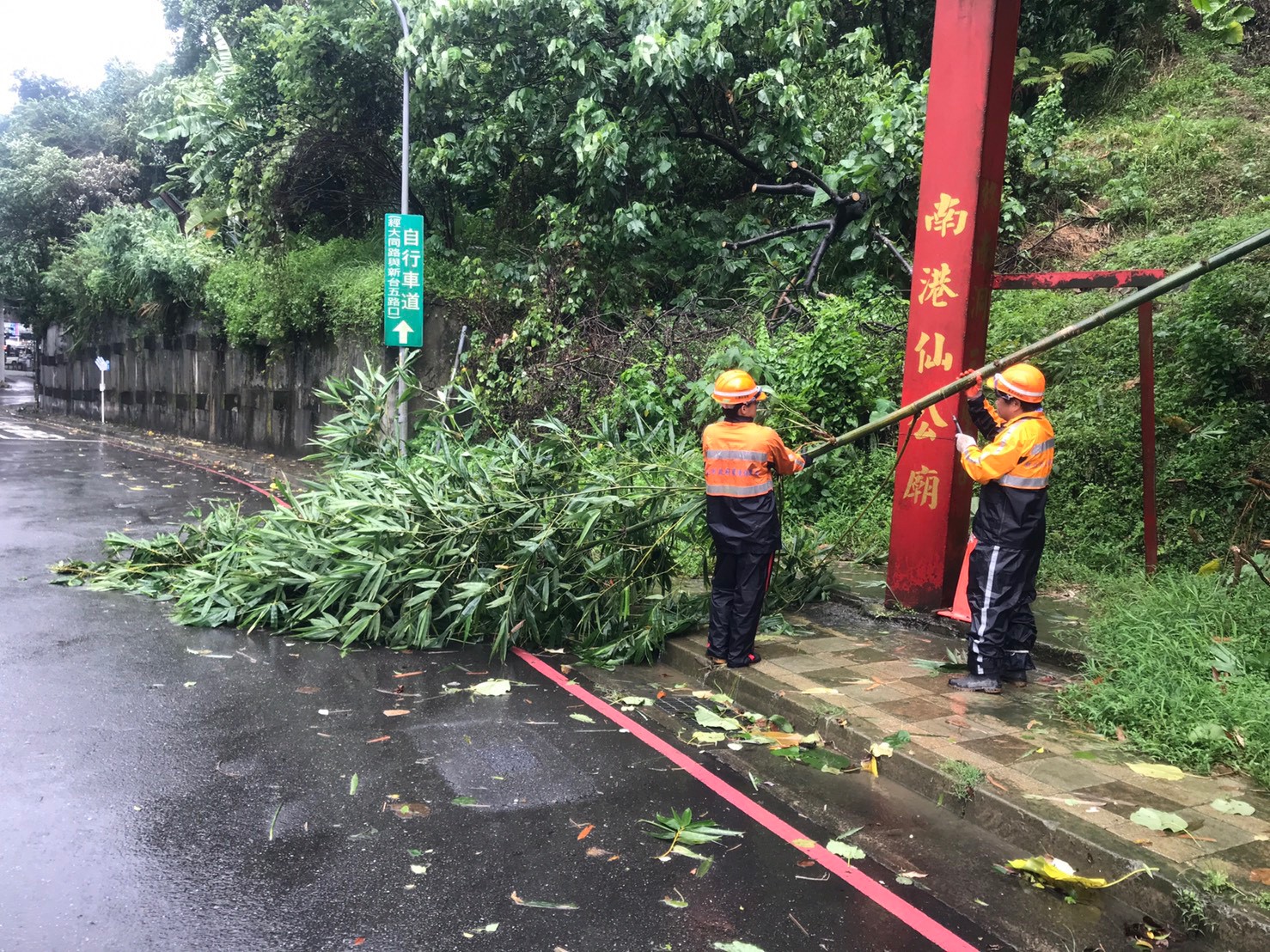 今(9)日環保局清潔隊員出動協助環境復原，收拾被風吹倒的樹枝落葉