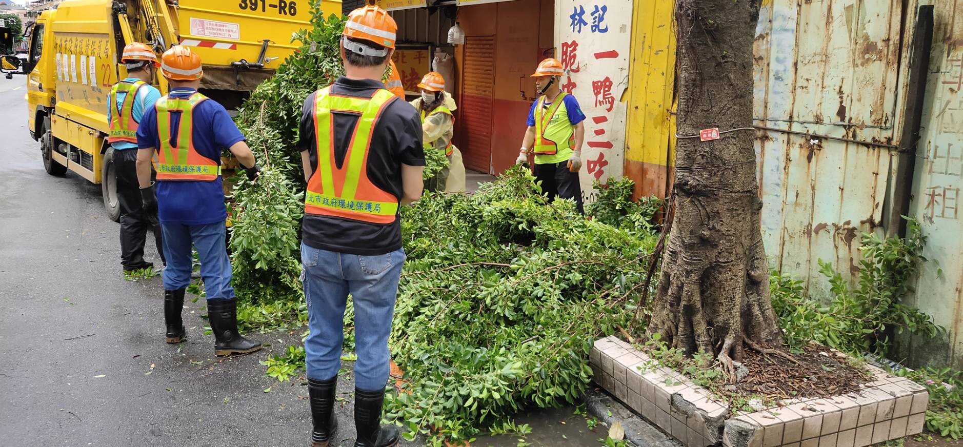 清潔隊員們合力將斷裂掉落街道的樹枝予以移除