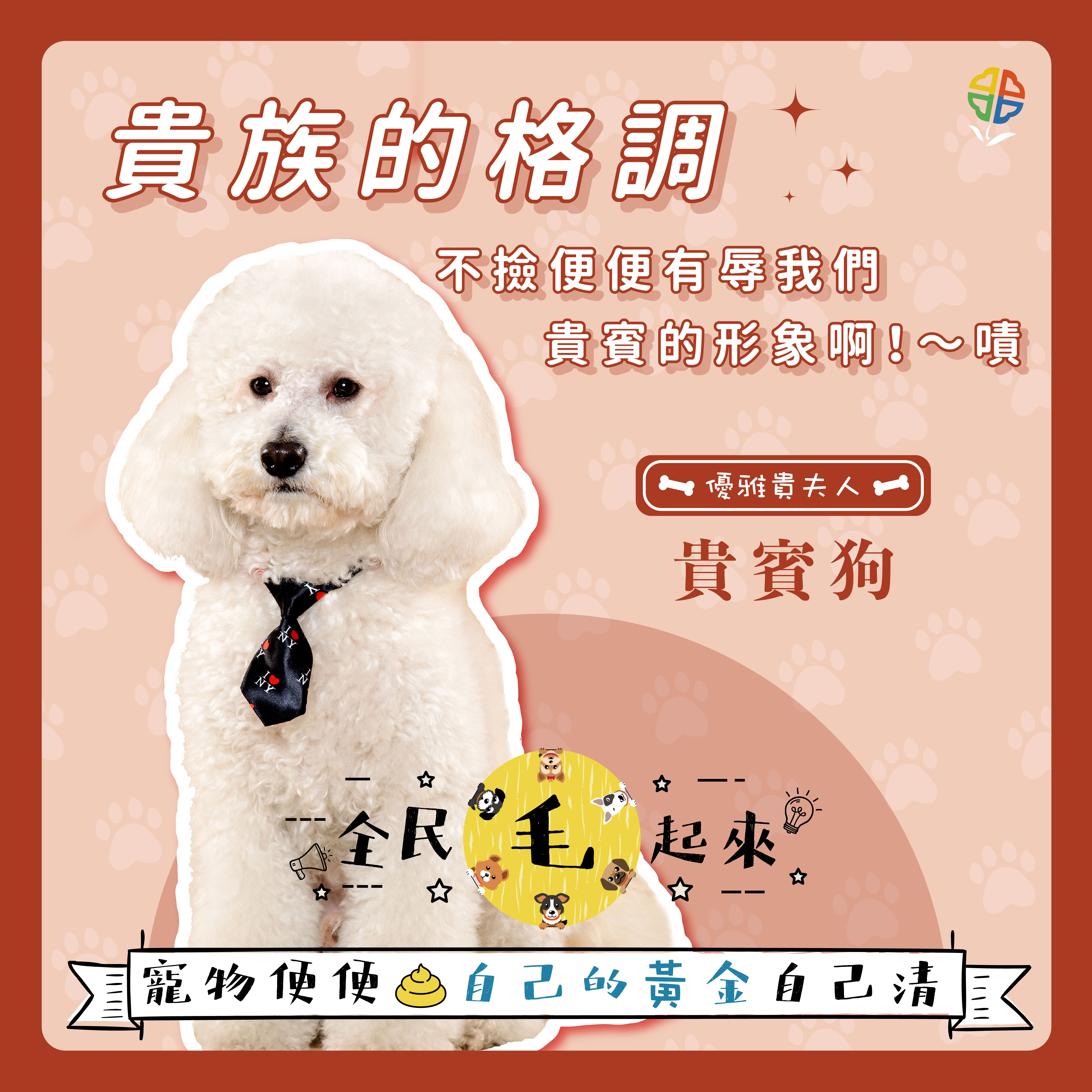 新北市 全民毛起來 活動開跑曬毛孩填問券拿500元禮券 新北市政府環境保護局