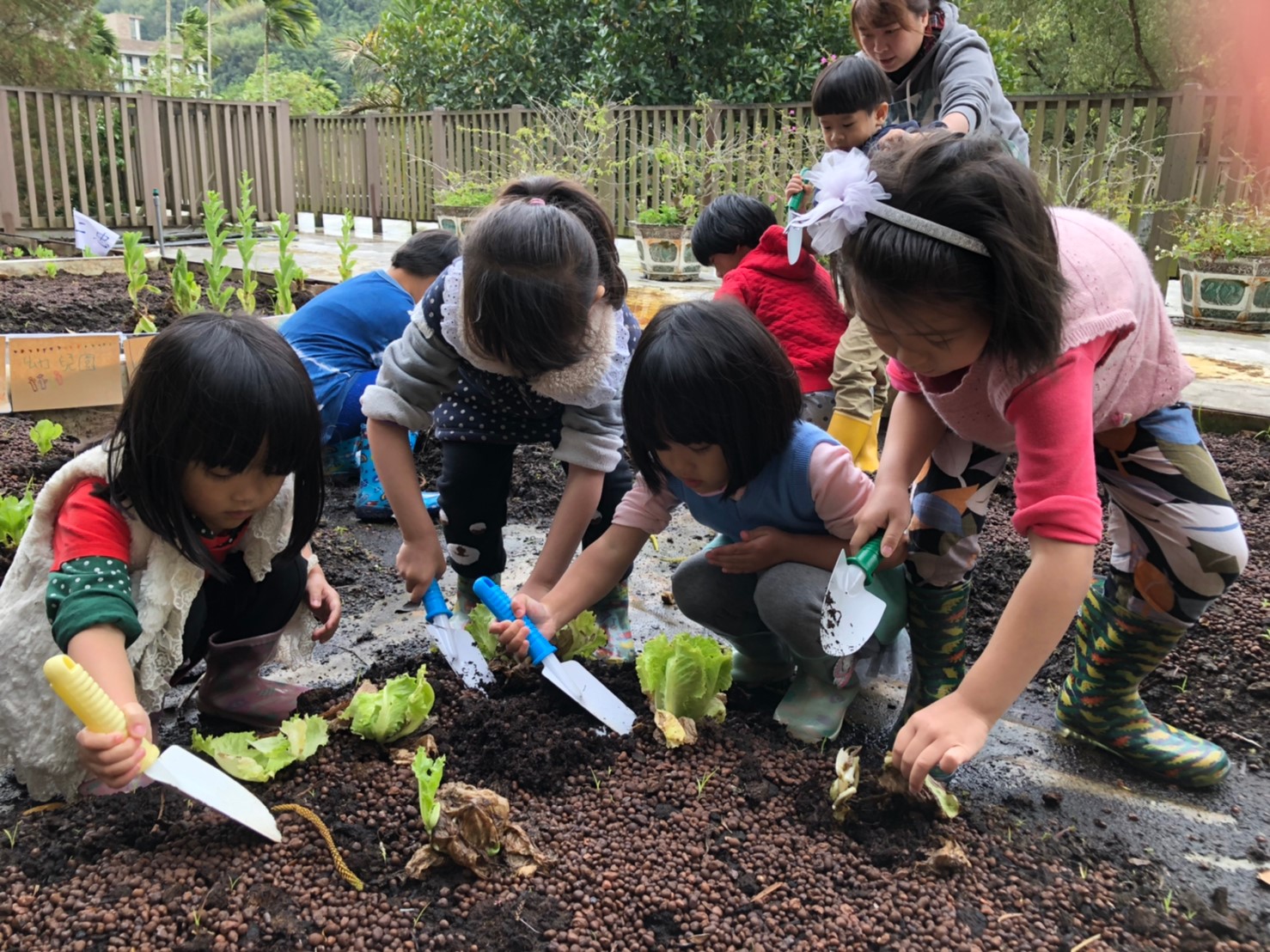 8.新北市三峽區插角國民小學的學生們從小在生態屋頂農場接觸土壤,親手種植及照顧,從中學習尊重生態.jpg圖片