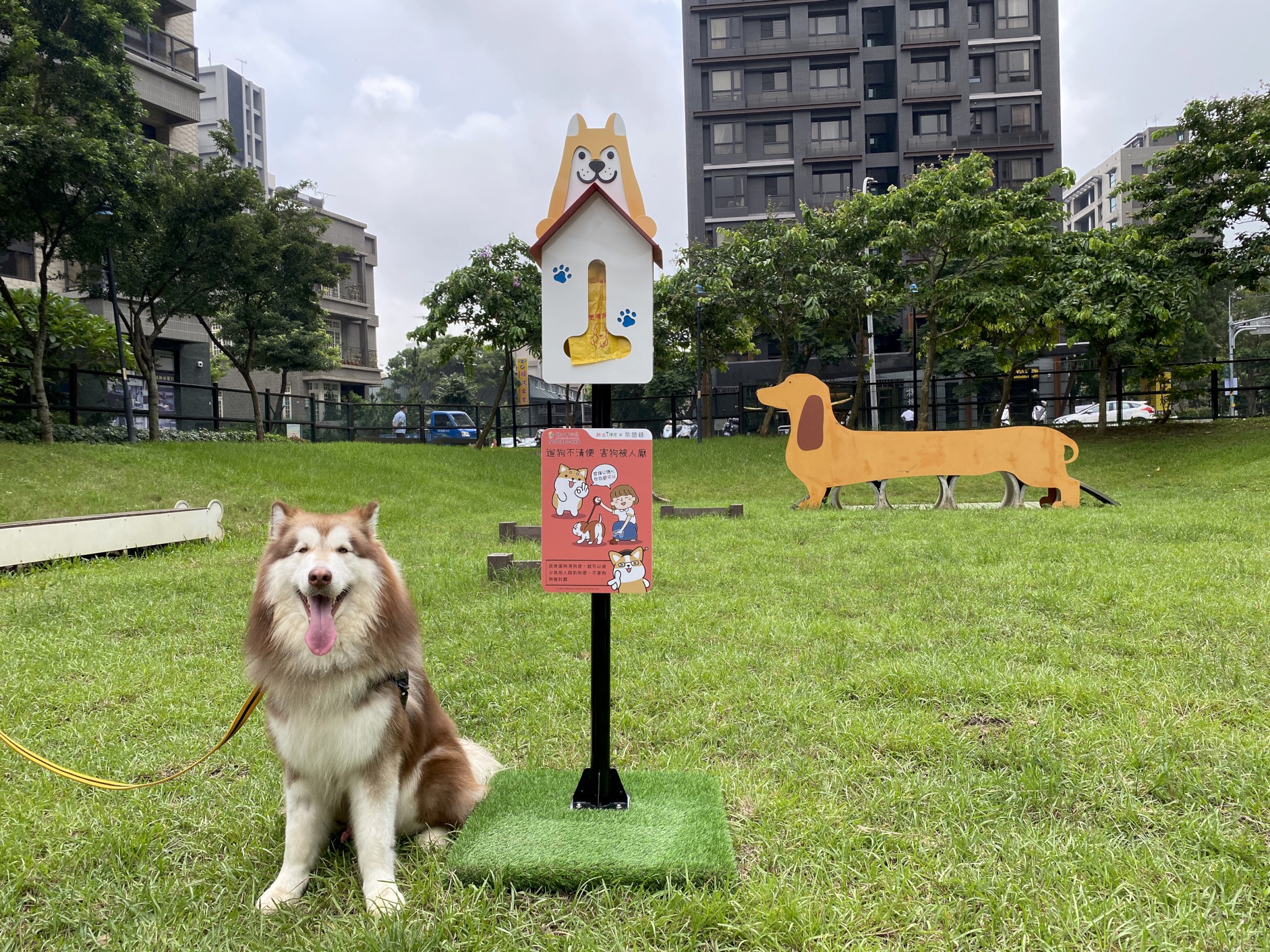 4.新北市今(9)日正式啟用「新北可愛柴」造型的狗便(袋)箱,歡迎民眾利用,也提醒飼主自帶清便工具,愛護環境.jpg圖片