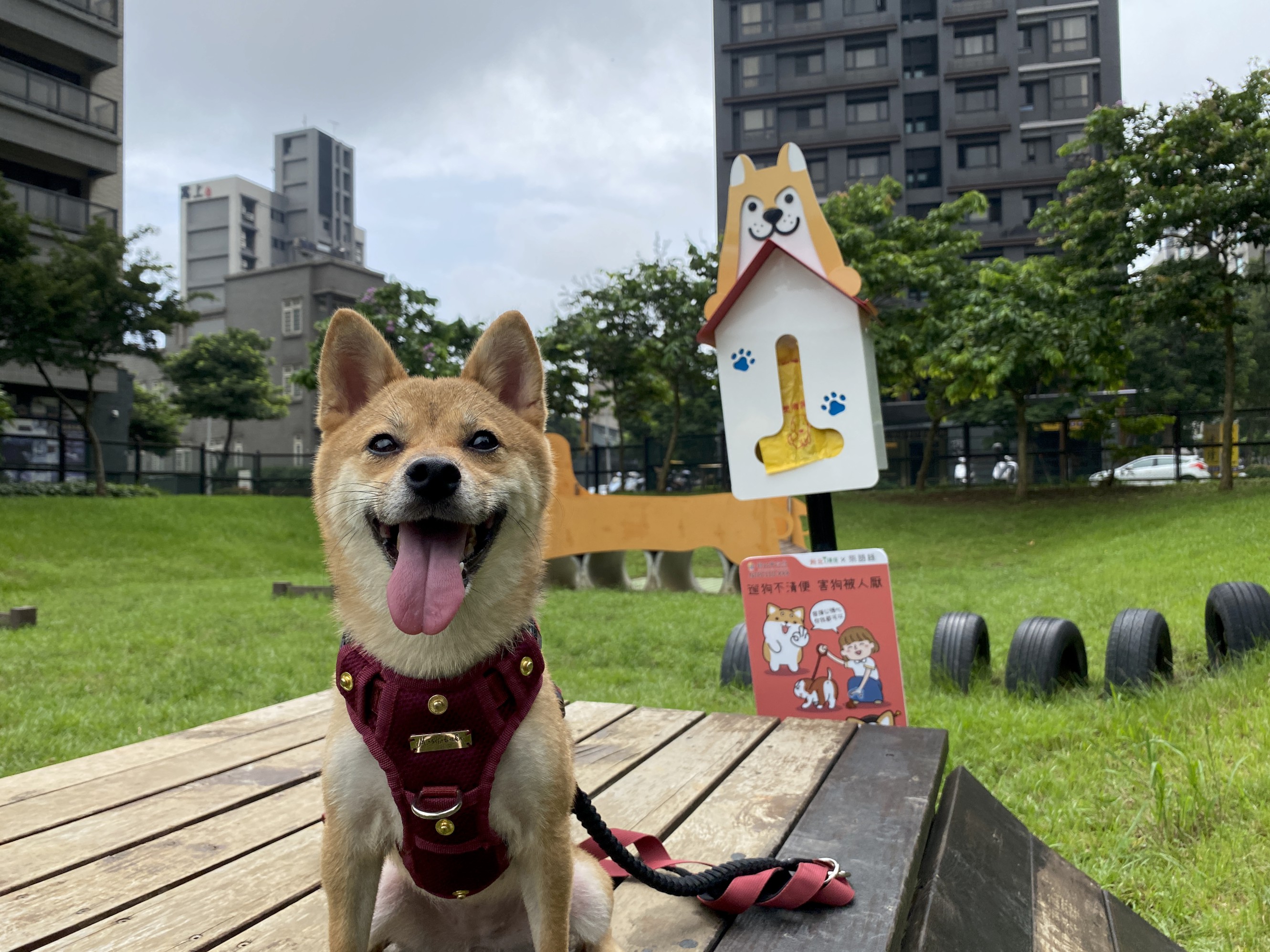 5.新北市今(9)日正式啟用「新北可愛柴」造型的狗便(袋)箱,提供忘記攜帶清便工具的民眾使用,也呼籲大家遛毛小孩的同時別忘了維護環境清潔.jpg圖片