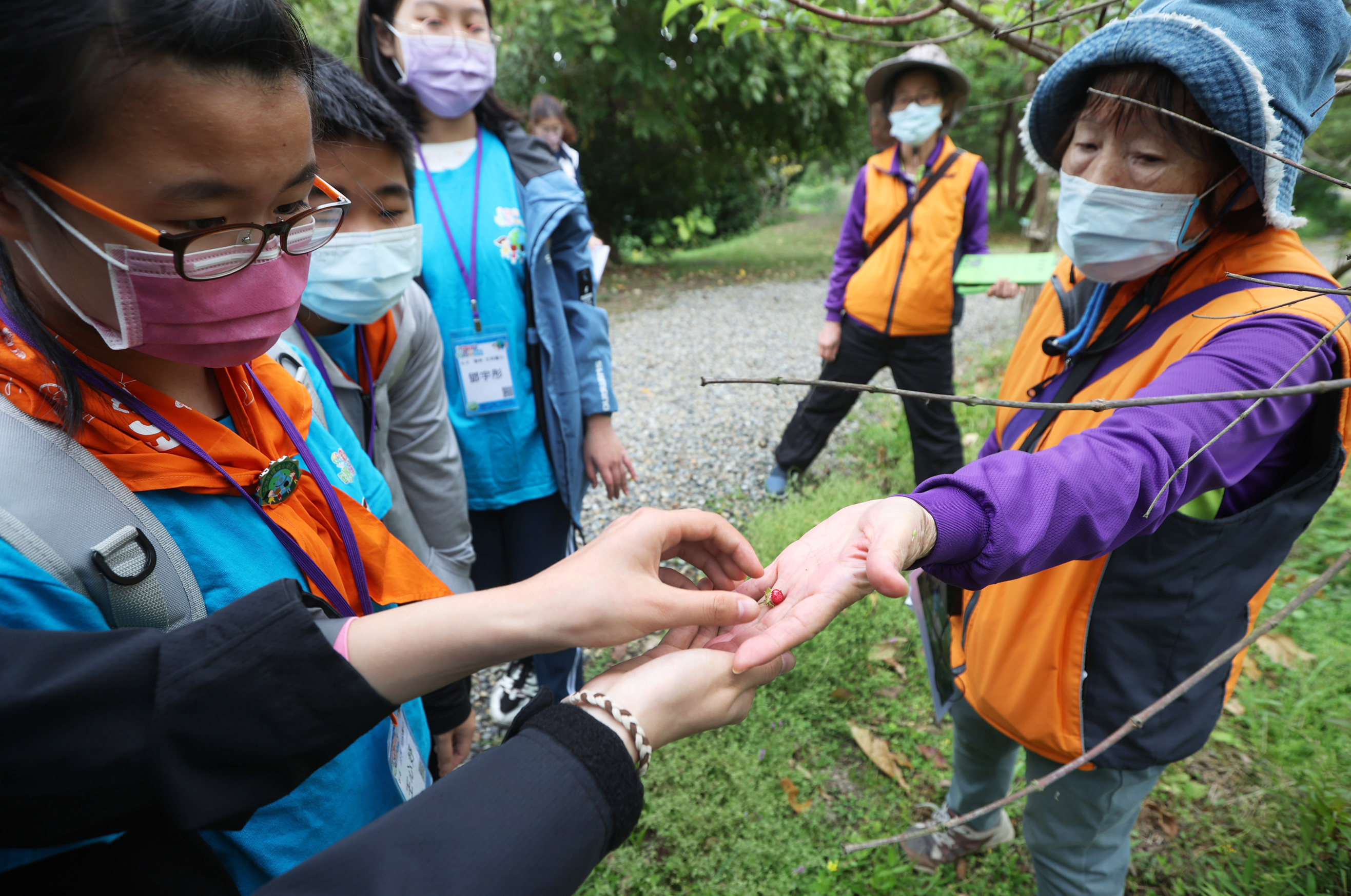 3.導覽老師介紹漳和濕地的植物、昆蟲及生態環境。.jpeg圖片