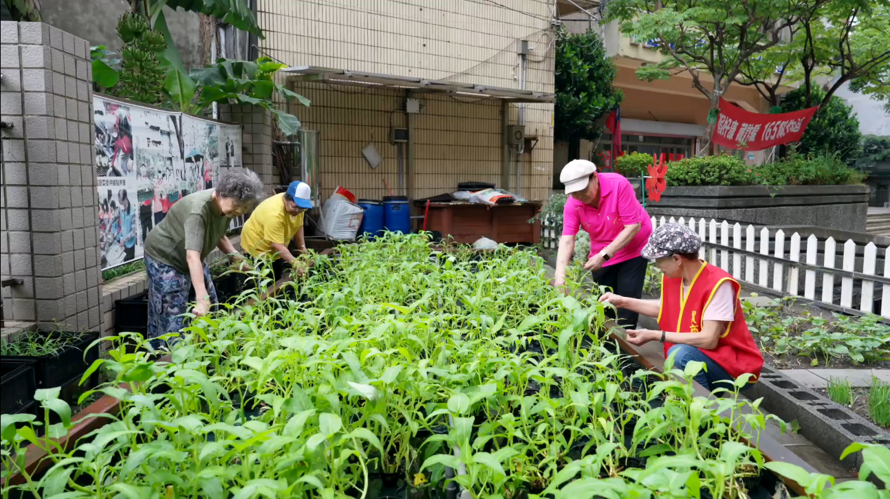 「環境綠美化組」特優獎得主羅春妹(右1),投入社區綠美化,活用閒置空間打造可食地景.png圖片