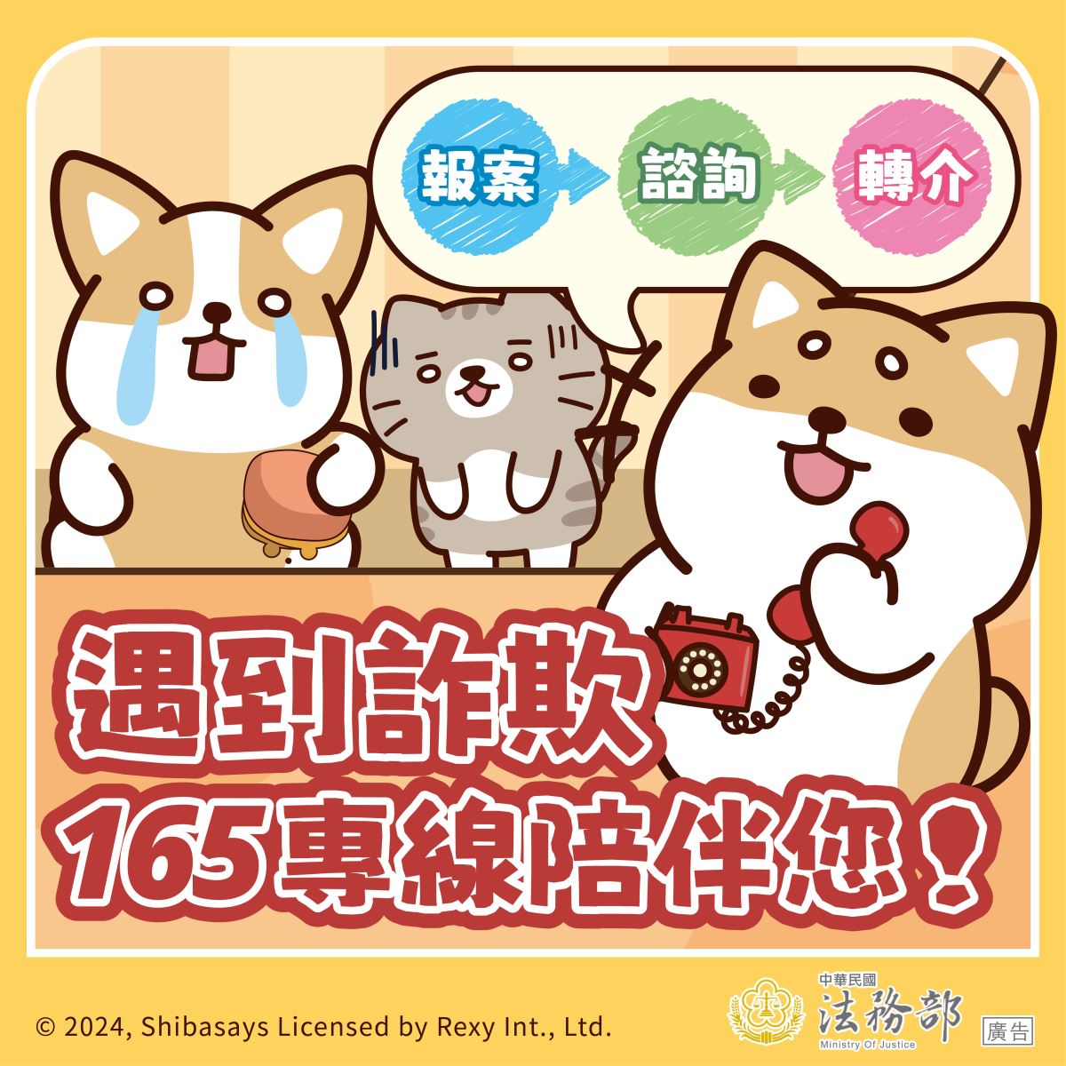 包青天11408-2