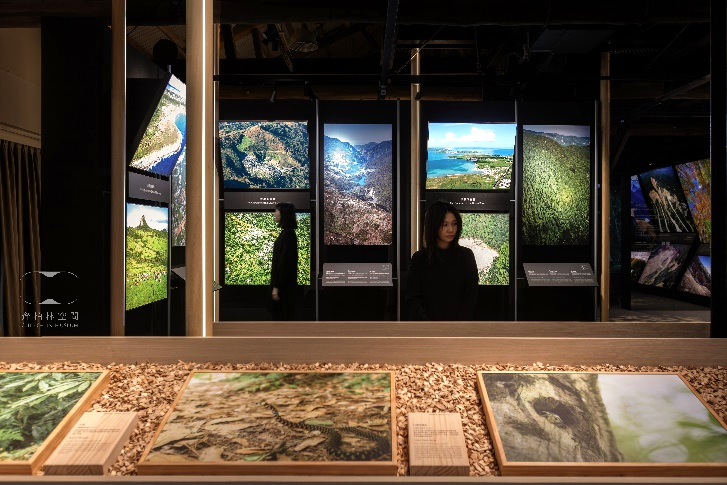 新北市 2025 VLR聚焦有感日常4