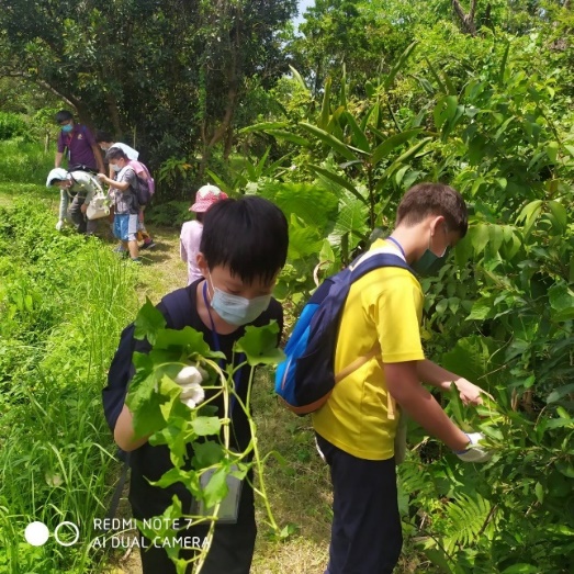 闖關大地遊戲