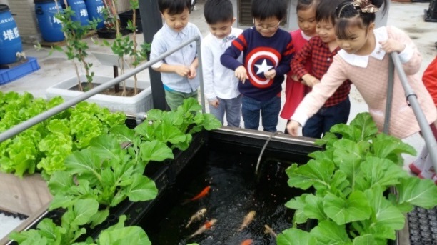 五股區水碓里打造魚菜共生系統的空中生態園，以自給自足模式循環，生產有機無毒蔬菜