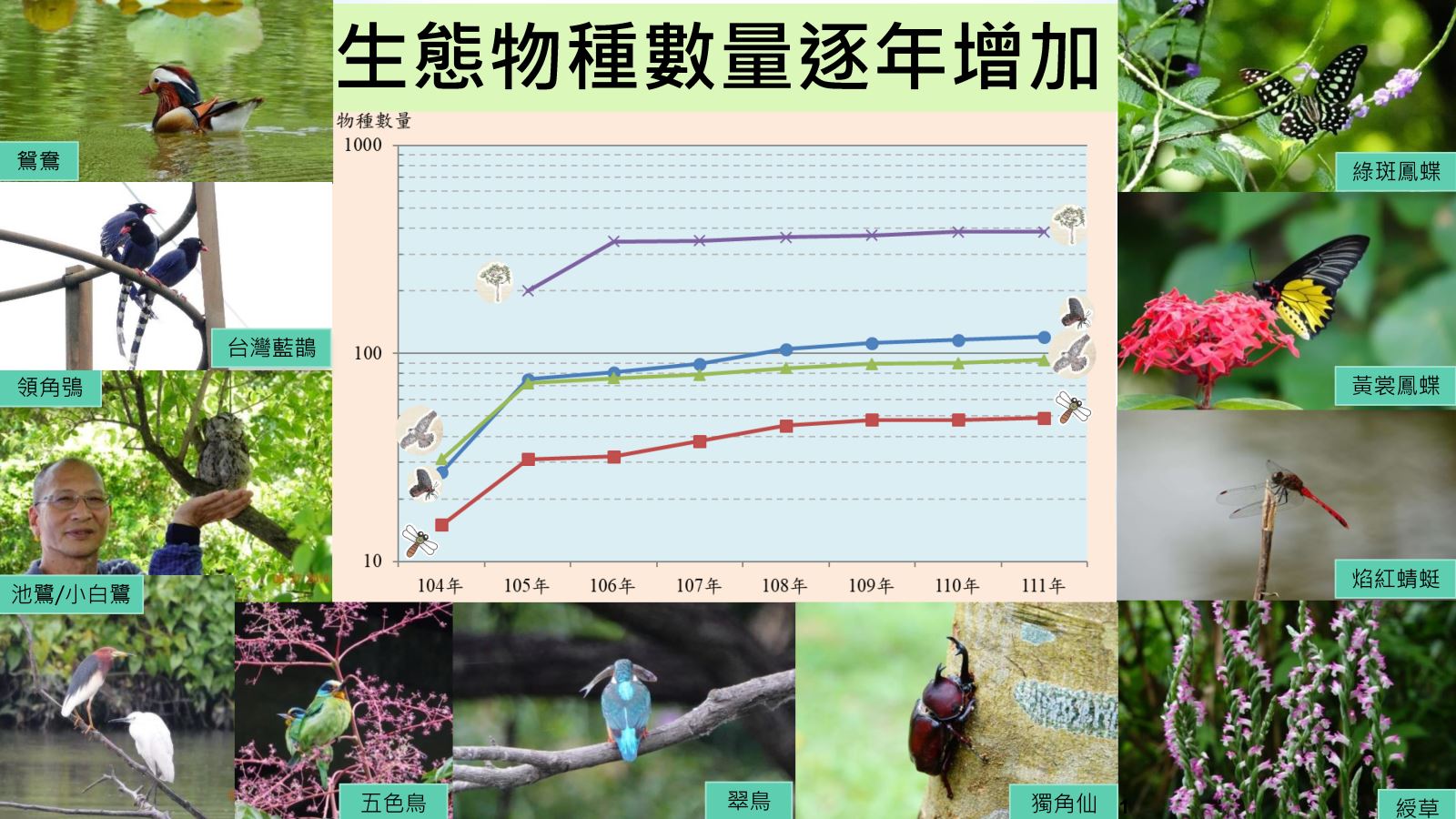 111漳和濕地生態統計圖