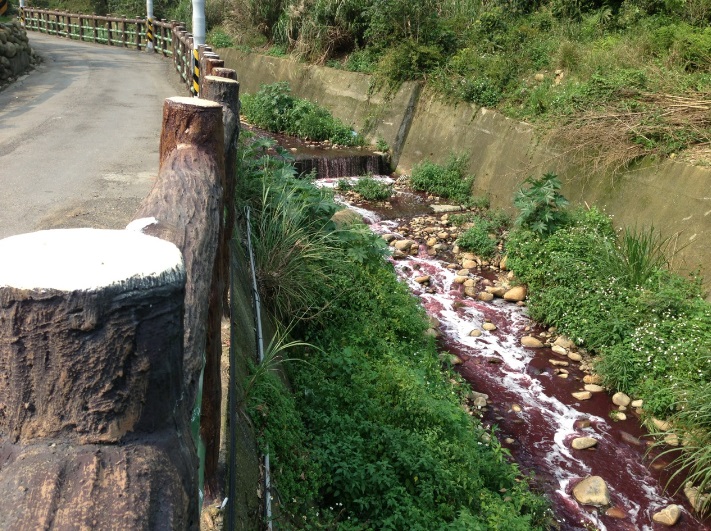 圖二：廢水造成水碓窠溪嚴重變色