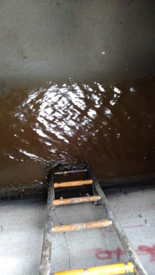 稽查員進入雨水下水道人孔查核