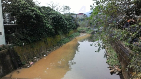 地混濁泥水染溪流