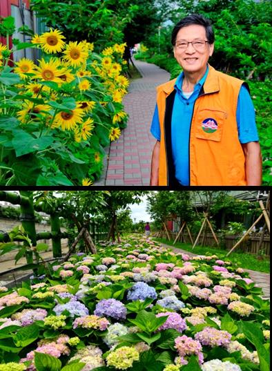 泰山區黎明里最具盛名的櫻花步道就是由今年環境美化組特優獎得主鄒秀奎先生一手建立的
