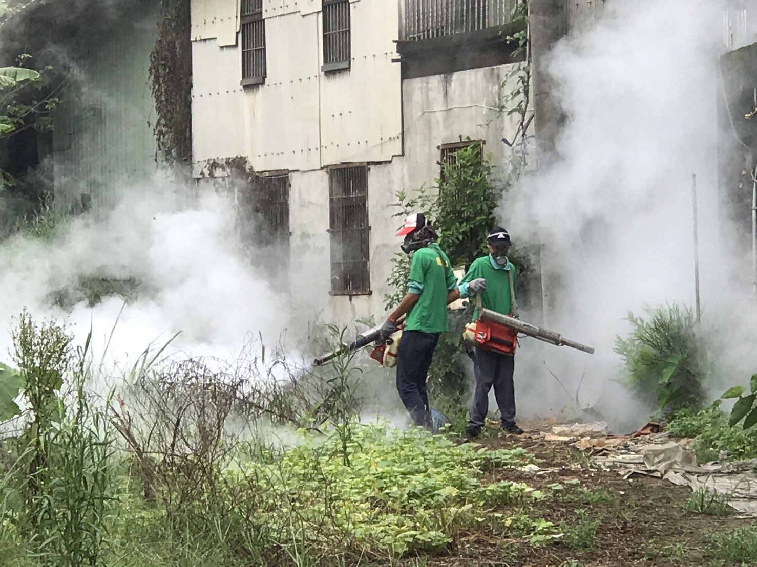 針對菜園擴大採取預防性化學防治作業