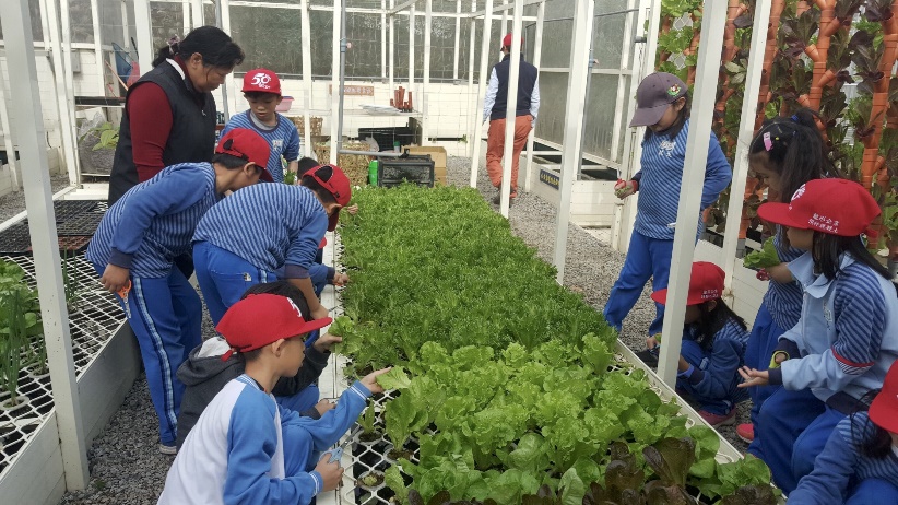 廚餘轉化成的肥料也可以用在校園內的植物