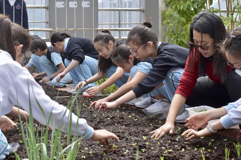 菁桐國小屬於自己的有機農場