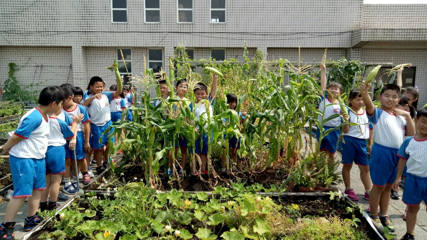 農場裡更積極著手復育稀有的本地原生物種