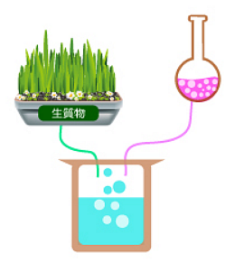 生物、化學轉換