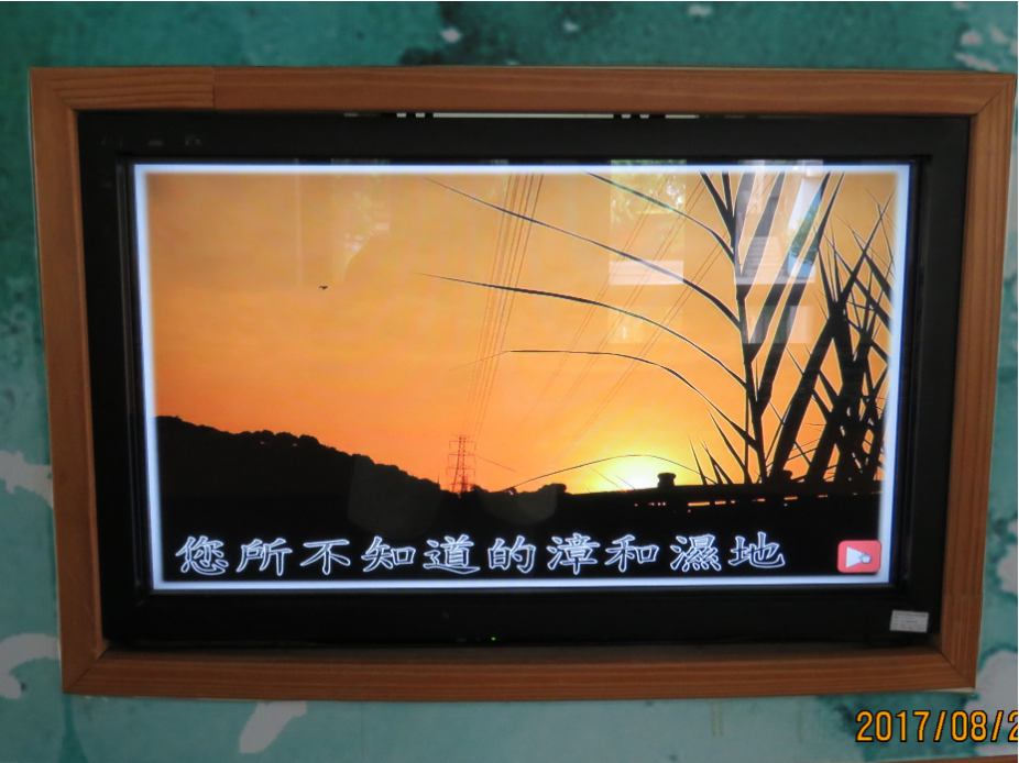 大漢溪流域濕地建置暨環境教育推動歷程