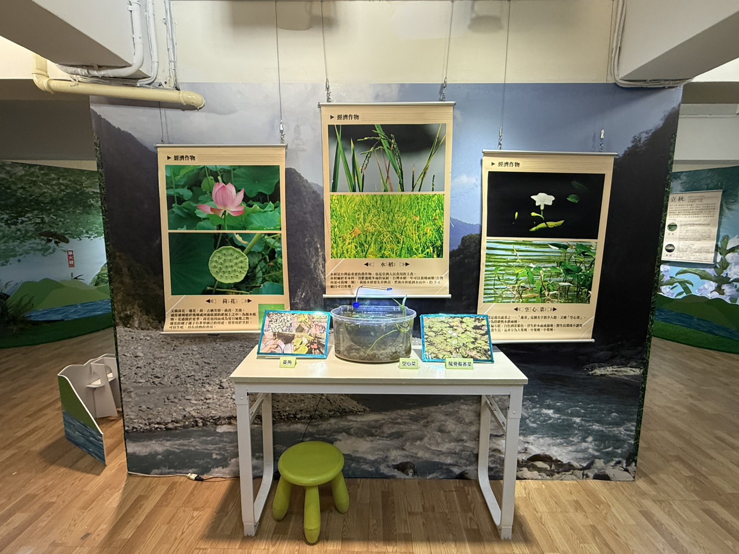 漳和濕地特展1