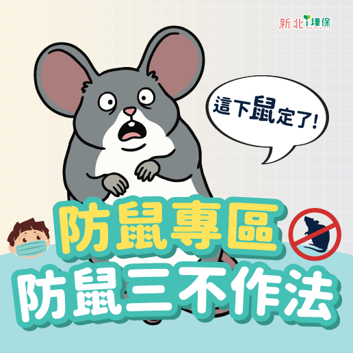 掃除做得好，老鼠自然跑！杜絕老鼠，從居家清潔做起~