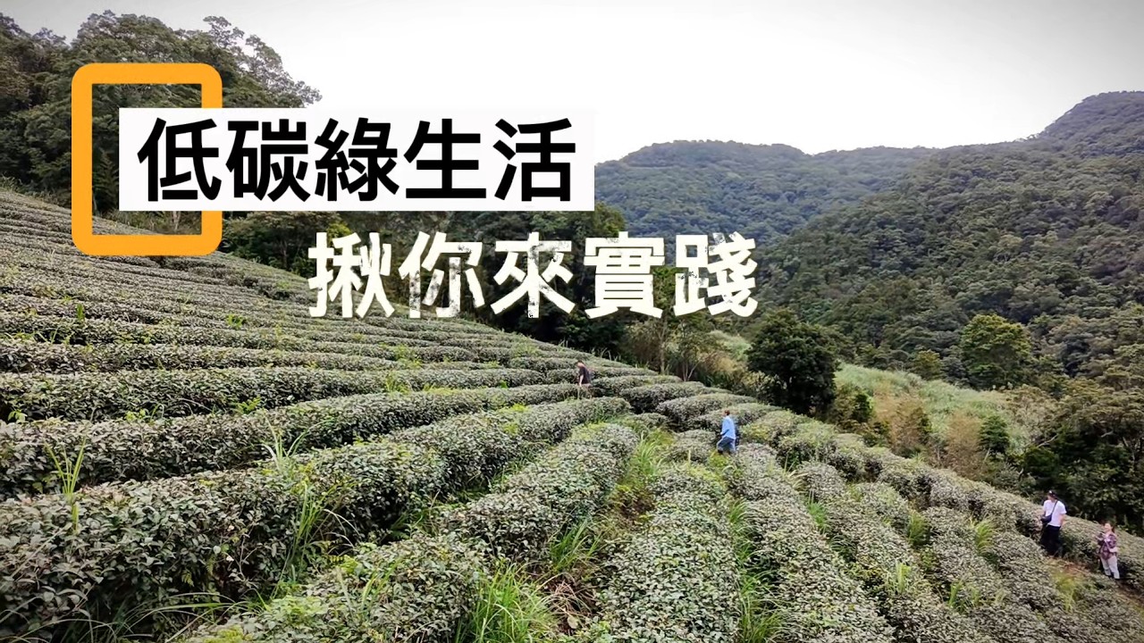 【佳作】沙拉視角《低碳綠生活揪你來實踐》